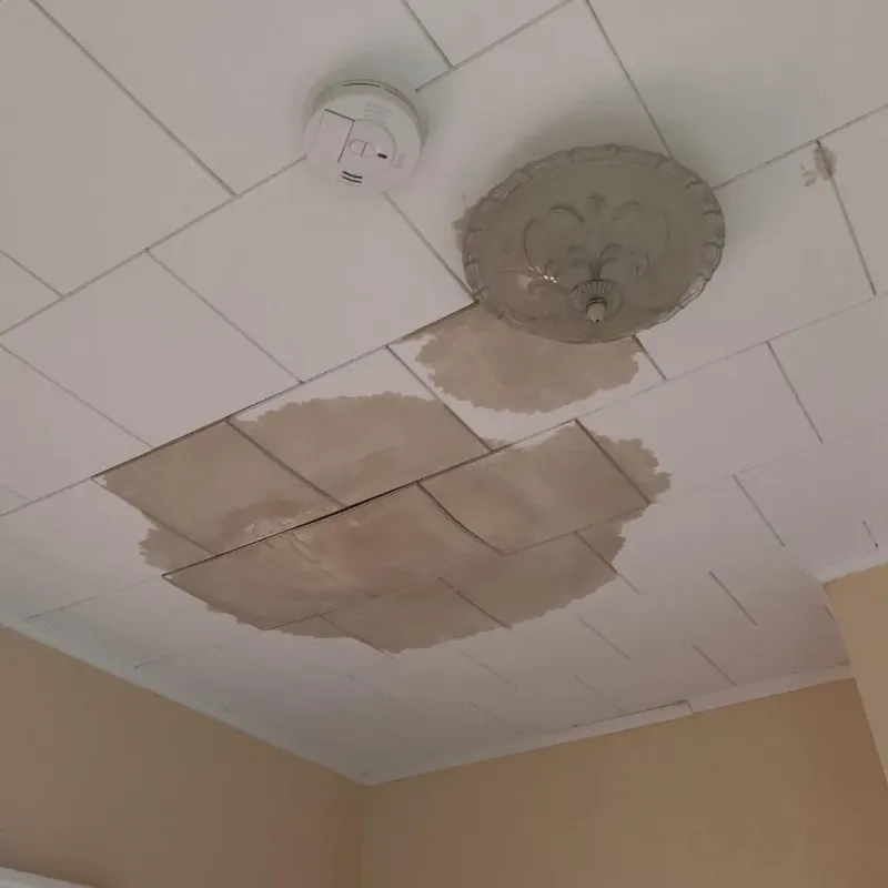 Ceiling Water Damage Repair in Livermore Falls, ME