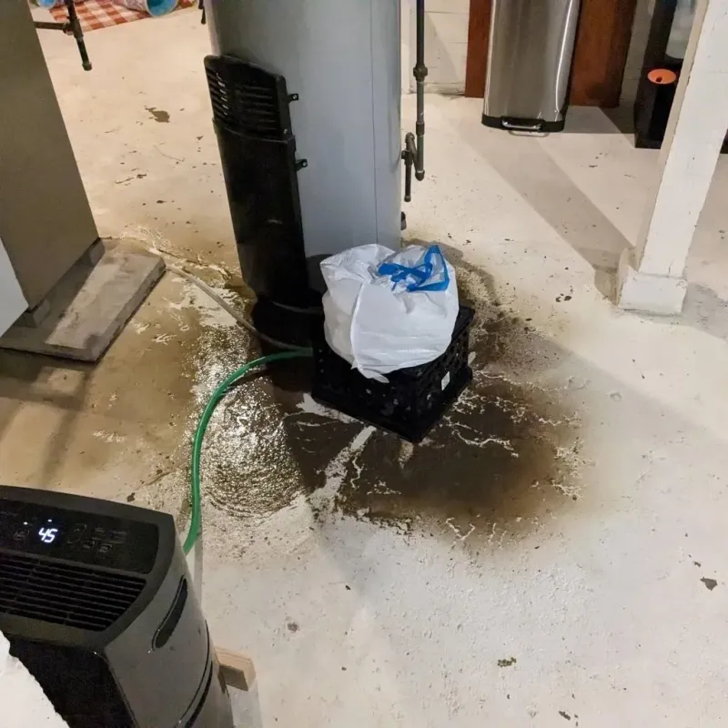 Sewage Backup Cleanup Service in Livermore Falls, ME